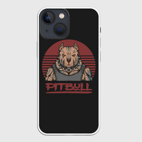 Чехол для iPhone 13 mini с принтом Pitbull (Питбультерьер) в Тюмени,  |  | american pit bull terrier | boxer | bulldog | fighting dog | pit bull | американский питбультерьер | бойцовская собака | бойцовский пес | боксер | бульдог | кинолог | питбуль | питбультерьер | собаковод