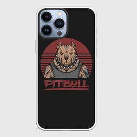 Чехол для iPhone 13 Pro Max с принтом Pitbull (Питбультерьер) в Тюмени,  |  | american pit bull terrier | boxer | bulldog | fighting dog | pit bull | американский питбультерьер | бойцовская собака | бойцовский пес | боксер | бульдог | кинолог | питбуль | питбультерьер | собаковод