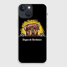 Чехол для iPhone 13 mini с принтом Бордоский Дог (Dogue de bordeaux) в Тюмени,  |  | animal | dog | dogue de bordeaux | dogue de bordeaux mastiff | french mastiff | бордоский дог | год собаки | друг человека | животное | кинолог | пёс | порода собак | собака бордоский мастиф | собаковод | французский мастиф