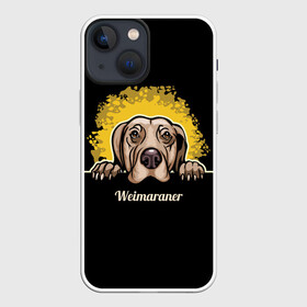 Чехол для iPhone 13 mini с принтом Веймаранер (Weimaraner) в Тюмени,  |  | animal | dog | hunting dog | weimaraner | веймаранер | веймарская овчарка | год собаки | друг человека | животное | зверь | кинолог | легавая | охотничья собака | пёс | порода собак | собака | собака веймаранер