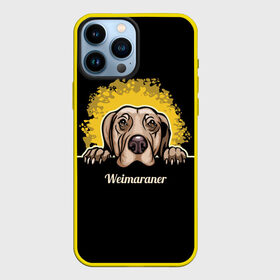 Чехол для iPhone 13 Pro Max с принтом Веймаранер (Weimaraner) в Тюмени,  |  | animal | dog | hunting dog | weimaraner | веймаранер | веймарская овчарка | год собаки | друг человека | животное | зверь | кинолог | легавая | охотничья собака | пёс | порода собак | собака | собака веймаранер
