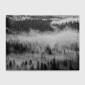 Обложка для студенческого билета с принтом ТУМАННЫЙ ЛЕС | FOREST в Тюмени, натуральная кожа | Размер: 11*8 см; Печать на всей внешней стороне | forest | деревья | дым | лес | мрачный лес | природа | туман