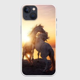 Чехол для iPhone 13 с принтом Лошади на закате в Тюмени,  |  | восход | животные | закат | звери | кони | конь | коняшка | лошади | лошадка | лошадь | на восходе | на закате | пони | природа | солнце