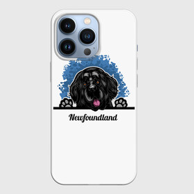 Чехол для iPhone 13 Pro с принтом Ньюфаундленд (Newfoundland) в Тюмени,  |  | animal | diver dog | dog | newfoundland dog | год собаки | друг человека | животное | зверь | кинолог | ньюфаундленд | пёс | порода собак | собака | собака водолаз | собака ньюфаундленд | собаковод | щенок