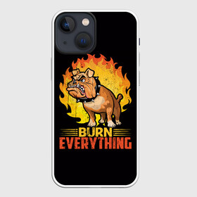 Чехол для iPhone 13 mini с принтом Сжечь Всё в Тюмени,  |  | boxer | bulldog | fighting dog | pit bull | бойцовская собака | бойцовский пес | боксер | бульдог | волкодав | гнев | друг человека | злость | лев | ненависть | огонь | пес | питбуль | питбультерьер | собака | хищник