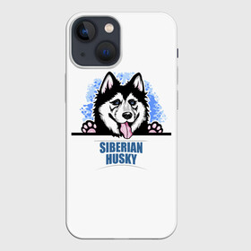 Чехол для iPhone 13 mini с принтом Сибирский Хаски (Siberian Husky) в Тюмени,  |  | ani | dog | husky | siberian husky | wolf | аляскинский маламут | волк | год собаки | друг человека | ездовая собака | животное | зверь | ищейка | кинолог | кость | лайка | пёс | сибирский хаски | сибирь | собака