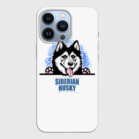 Чехол для iPhone 13 Pro с принтом Сибирский Хаски (Siberian Husky) в Тюмени,  |  | ani | dog | husky | siberian husky | wolf | аляскинский маламут | волк | год собаки | друг человека | ездовая собака | животное | зверь | ищейка | кинолог | кость | лайка | пёс | сибирский хаски | сибирь | собака