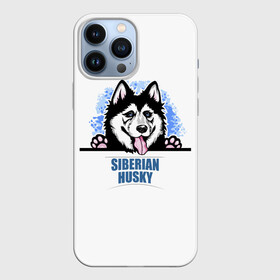 Чехол для iPhone 13 Pro Max с принтом Сибирский Хаски (Siberian Husky) в Тюмени,  |  | ani | dog | husky | siberian husky | wolf | аляскинский маламут | волк | год собаки | друг человека | ездовая собака | животное | зверь | ищейка | кинолог | кость | лайка | пёс | сибирский хаски | сибирь | собака