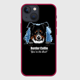 Чехол для iPhone 13 mini с принтом Бордер Колли (Border Collie) в Тюмени,  |  | animal | border collie | dog | бордер колли | год собаки | друг человека | животное | зверь | ищейка | кинолог | кость | овчарка | пастушья собака | пёс | порода собак | собака бордер колли | собаковод