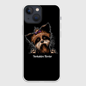 Чехол для iPhone 13 mini с принтом Собачка Йоркширский Терьер в Тюмени,  |  | york | yorkshire terrier | год | друг человека | животное | зверь | йорк | йоркширский терьер | карманная собака | кость | мальтезе | мальтийская болонка | манчестер терьер | мини собачка | пёс | скайтерьер