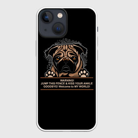 Чехол для iPhone 13 mini с принтом Собака Мопс в Тюмени,  |  | bulldog | pug | pug dog | pug puppies | бульдог | год собаки | друг человека | дружные мопсы | дядя мопс | животное | зверь | кинолог | мопс | пёс | порода собак | собака боксёр | собака мопс | собаковод | четвероногий