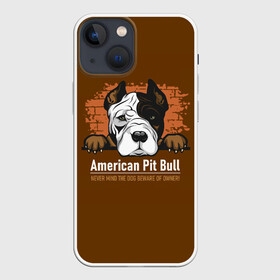 Чехол для iPhone 13 mini с принтом Американский Питбультерьер (Pit Bull Terrier) в Тюмени,  |  | american pit bull terrier | boxer | bulldog | fighting dog | pit bull | американский питбультерьер | бойцовская собака | бойцовский пес | боксер | бульдог | волкодав | друг человека | кинолог | пес | питбуль | питбультерьер