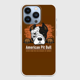 Чехол для iPhone 13 Pro с принтом Американский Питбультерьер (Pit Bull Terrier) в Тюмени,  |  | american pit bull terrier | boxer | bulldog | fighting dog | pit bull | американский питбультерьер | бойцовская собака | бойцовский пес | боксер | бульдог | волкодав | друг человека | кинолог | пес | питбуль | питбультерьер