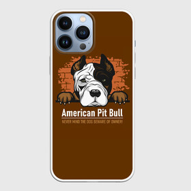 Чехол для iPhone 13 Pro Max с принтом Американский Питбультерьер (Pit Bull Terrier) в Тюмени,  |  | Тематика изображения на принте: american pit bull terrier | boxer | bulldog | fighting dog | pit bull | американский питбультерьер | бойцовская собака | бойцовский пес | боксер | бульдог | волкодав | друг человека | кинолог | пес | питбуль | питбультерьер