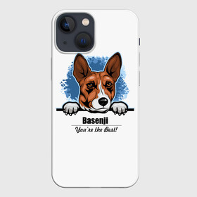 Чехол для iPhone 13 mini с принтом Собака Басенджи в Тюмени,  |  | african dog | animal | basenji | congo terrier | dog | африканская собака | басенджи | год собаки | друг человека | животное | зверь | кинолог | конго терьер | пёс | собака басенджи | собаковод | четвероногий