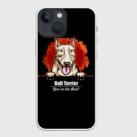 Чехол для iPhone 13 mini с принтом Собака Бультерьер в Тюмени,  |  | bull terrier | bulldog | dog | fighting dog | pit bull | terrier | бойцовская собака | бульдог | бультерьер | год собаки | друг человека | животное | зверь | кинолог | кость | пёс | питбуль | порода собак | собака