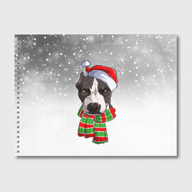 Альбом для рисования с принтом Новогодний Питбуль   New Years Pit bull в Тюмени, 100% бумага
 | матовая бумага, плотность 200 мг. | Тематика изображения на принте: christmas | dog | pit bull | santa | дед мороз | зима | новый год | питбуль | рождество | санта | снег | снежинка | собака | собачка | щенок