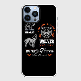 Чехол для iPhone 13 Pro Max с принтом Wolves в Тюмени,  |  | gray wolf | predator | the beast | volkolak | wolf | wolfhound | волк | волкодав | волколак | волчара | вурдалак | зверь | зов волка | морской волк | оборотень | оскал | рисунок волка | санитар леса | серый волк | хищник
