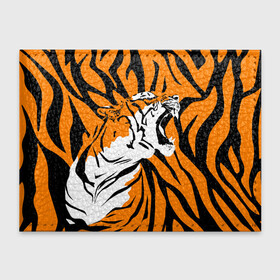 Обложка для студенческого билета с принтом Тигровый окрас в Тюмени, натуральная кожа | Размер: 11*8 см; Печать на всей внешней стороне | 2022 | aggressive | brindle color | fangs | in profile | new year | open mouth | predator | tiger | year of the tiger | агрессивный | в профиль | год тигра | клыки | новый год | открытая пасть | тигр | тигровый окрас | хищник