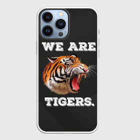 Чехол для iPhone 13 Pro Max с принтом Тигр. We are tigers в Тюмени,  |  | tiger | восточный тигр | год тигра | кошка | тигр | тигренок | хищник