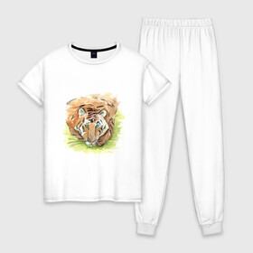 Женская пижама хлопок с принтом Портрет тигра с зелёными глазами в Тюмени, 100% хлопок | брюки и футболка прямого кроя, без карманов, на брюках мягкая резинка на поясе и по низу штанин | 2022 | глаза | животное | зверь | китайский календарь | кошка | новый год | оранжевый | полоски | символ года | тигр | хищник