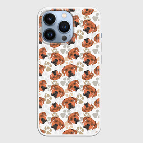 Чехол для iPhone 13 Pro с принтом Собака Родезийский Риджбек в Тюмени,  |  | animal | dog | hunting dog | rhodesian ridgeback | год собаки | гончая | друг человека | животное | зверь | кинолог | охотничья собака | пес | порода собак | родезийский риджбек | собака родезийский риджбек | собаковод