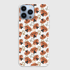 Чехол для iPhone 13 Pro Max с принтом Собака Родезийский Риджбек в Тюмени,  |  | animal | dog | hunting dog | rhodesian ridgeback | год собаки | гончая | друг человека | животное | зверь | кинолог | охотничья собака | пес | порода собак | родезийский риджбек | собака родезийский риджбек | собаковод