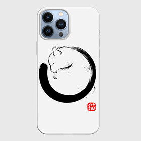 Чехол для iPhone 13 Pro Max с принтом Котик на тебе спит в Тюмени,  |  | Тематика изображения на принте: cat | cats | киса | киска | кот | котенок | коты | кошечка | кошка | кошки | мем | мем с котом | феншуй