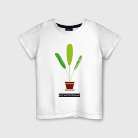 Детская футболка хлопок с принтом Растение в горшке Восхитительно в Тюмени, 100% хлопок | круглый вырез горловины, полуприлегающий силуэт, длина до линии бедер | Тематика изображения на принте: дом | интерьер | листья | растение | растение в горшке | уют | флора | цветок