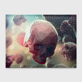 Обложка для студенческого билета с принтом Геометрические Черепа в Тюмени, натуральная кожа | Размер: 11*8 см; Печать на всей внешней стороне | геометрический череп | геометрия | рисунок | череп | черепа