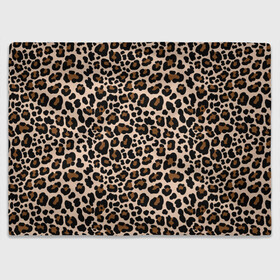 Плед 3D с принтом Леопардовые Пятна в Тюмени, 100% полиэстер | закругленные углы, все края обработаны. Ткань не мнется и не растягивается | jaguar | leopard | ocelot | predator | гепард | дикая кошка | животное | зверь | кот | леопард | леопардовые пятна | оцелот | хищная кошка | хищник | ягуар