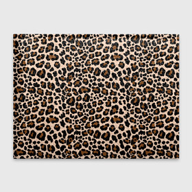 Обложка для студенческого билета с принтом Леопардовые Пятна в Тюмени, натуральная кожа | Размер: 11*8 см; Печать на всей внешней стороне | jaguar | leopard | ocelot | predator | гепард | дикая кошка | животное | зверь | кот | леопард | леопардовые пятна | оцелот | хищная кошка | хищник | ягуар