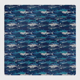 Магнитный плакат 3Х3 с принтом Хищные Акулы в Тюмени, Полимерный материал с магнитным слоем | 9 деталей размером 9*9 см | fish | ocean | predator | shark | white shark | акула | белая акула | зубы | море | морской хищник | океан | рыба | хищная рыба | хищник
