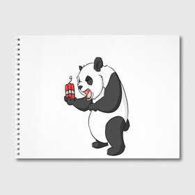 Альбом для рисования с принтом Взрывная панда в Тюмени, 100% бумага
 | матовая бумага, плотность 200 мг. | Тематика изображения на принте: bomb | dinamit | panda | бомба | динамит | животное | панда