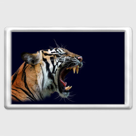 Магнит 45*70 с принтом Оскал тигра | Большая кошка в Тюмени, Пластик | Размер: 78*52 мм; Размер печати: 70*45 | 2022 | big teeth | fangs | grin | tiger | tigr | tigris | большая кошка | большие зубы | клыки | новый год | оскалиться | острые клыки | полосатая кошка | скалить | скалить зубы | тигр