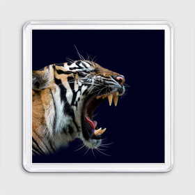 Магнит 55*55 с принтом Оскал тигра | Большая кошка в Тюмени, Пластик | Размер: 65*65 мм; Размер печати: 55*55 мм | 2022 | big teeth | fangs | grin | tiger | tigr | tigris | большая кошка | большие зубы | клыки | новый год | оскалиться | острые клыки | полосатая кошка | скалить | скалить зубы | тигр
