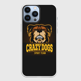 Чехол для iPhone 13 Pro Max с принтом CRAZY DOGS в Тюмени,  |  | animal | dog | барбос | бобик | гнев | год собаки | друг человека | животное | зверь | злая собака | злость | зубы | ищейка | кинолог | кость | лайка | ненависть | оскал | пёс | собака | собаковод