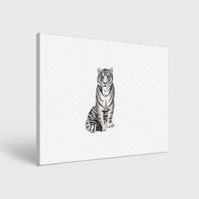 Холст прямоугольный с принтом Сидящая белая тигрица в Тюмени, 100% ПВХ |  | tiger | tigress | white tiger | белый тигр | символ 2022 | тигр сидит | тигрца