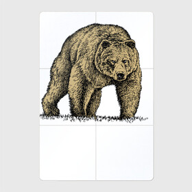 Магнитный плакат 2Х3 с принтом Русский бурый медведь в Тюмени, Полимерный материал с магнитным слоем | 6 деталей размером 9*9 см | bear | courage | fearlessness | force | muzzle | paws | power | russia | бесстрашие | лапы | медведь | мощь | мужество | отвага | россия | сила