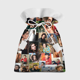 Подарочный 3D мешок с принтом Тимоти цветной коллаж в Тюмени, 100% полиэстер | Размер: 29*39 см | timothe chalamet | актер | коллаж | тимоти шаламе | фотосессии