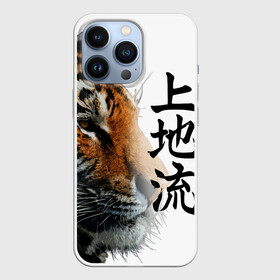 Чехол для iPhone 13 Pro с принтом ТИГР | НАДПИСЬ НА КИТАЙСКОМ в Тюмени,  |  | 2022 | chinese character | framed | new year | ornament | powerful | strong | tiger | year of the tiger | yellow look | амурски | год тигра | дикий | жёлтый взгляд | китайский иероглиф | мощный | надпись на китайском | новый год | орнамент 