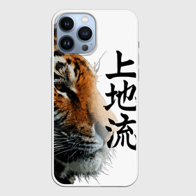 Чехол для iPhone 13 Pro Max с принтом ТИГР | НАДПИСЬ НА КИТАЙСКОМ в Тюмени,  |  | 2022 | chinese character | framed | new year | ornament | powerful | strong | tiger | year of the tiger | yellow look | амурски | год тигра | дикий | жёлтый взгляд | китайский иероглиф | мощный | надпись на китайском | новый год | орнамент 