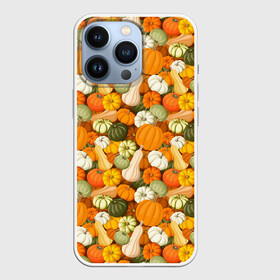 Чехол для iPhone 13 Pro с принтом Тыквы (Pumpkin) в Тюмени,  |  | Тематика изображения на принте: halloween | блюдо | веган | вегетарианец | витамины | диета | еда | завтрак | здоровое питание | здоровье | зелень | зож | корм | кушанье | обед | овощи | офощи | перекус | пища | повар | растительное питание