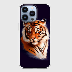 Чехол для iPhone 13 Pro с принтом Грозный Тигр | Символ 2022 Года | Tiger Beast в Тюмени,  |  | Тематика изображения на принте: 2022 | beast | black | cat | christmas | merry | new year | tiger | xmas | водяной | год тигра | животные | зверь | когти | кот | кошки | новый год | огонь | паттерн | полосатый | рождество | тигр | узор | чб | черный