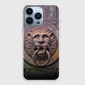 Чехол для iPhone 13 Pro с принтом Lion gate в Тюмени,  |  | ears | eyes | fangs | gate | jaw | lion | mane | metal | muzzle | ворота | грива | клыки | лев | металл | пасть | уши