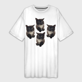 Платье-футболка 3D с принтом Чмоня в Тюмени,  |  | животные | кот | котики | коты | мем | мем 2022 | мемы | тренд