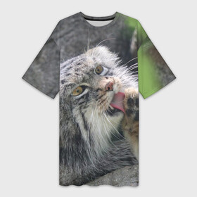 Платье-футболка 3D с принтом Манул  Лапка в Тюмени,  |  | Тематика изображения на принте: cat | cats | всеядный | детеныш | дикие | звери | зверята | кот | котик | лапка | манул | медведь | милый | природа | хищник