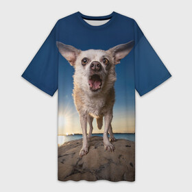 Платье-футболка 3D с принтом Свирепый Чихуахуа в Тюмени,  |  | mma | веселые | животные | злой | киборг | маленькие | мма | мохнатый | мощный | свирепый | смех | смешные | собака | собакен | чихуахуа
