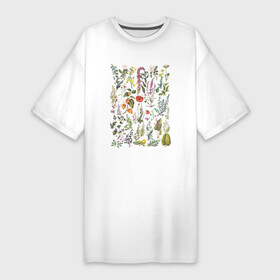 Платье-футболка хлопок с принтом Винтажная иллюстрация разных растений Ботаника в Тюмени,  |  | ботаника | ботаническая иллюстрация | ботанический | винтаж | винтажный | природа | растения | растительный мир | ретро | цветы