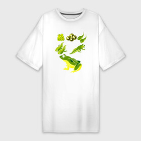Платье-футболка хлопок с принтом Этапы развития лягушки в Тюмени,  |  | frog | жаба | квакушка | квакша | лягва | лягуха | лягушка | лягушки | фрог
